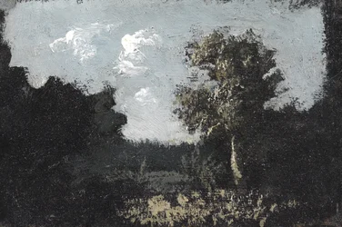 Studio di paesaggio